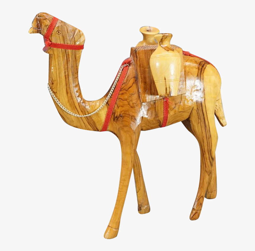 Arabian Camel, HD Png Download