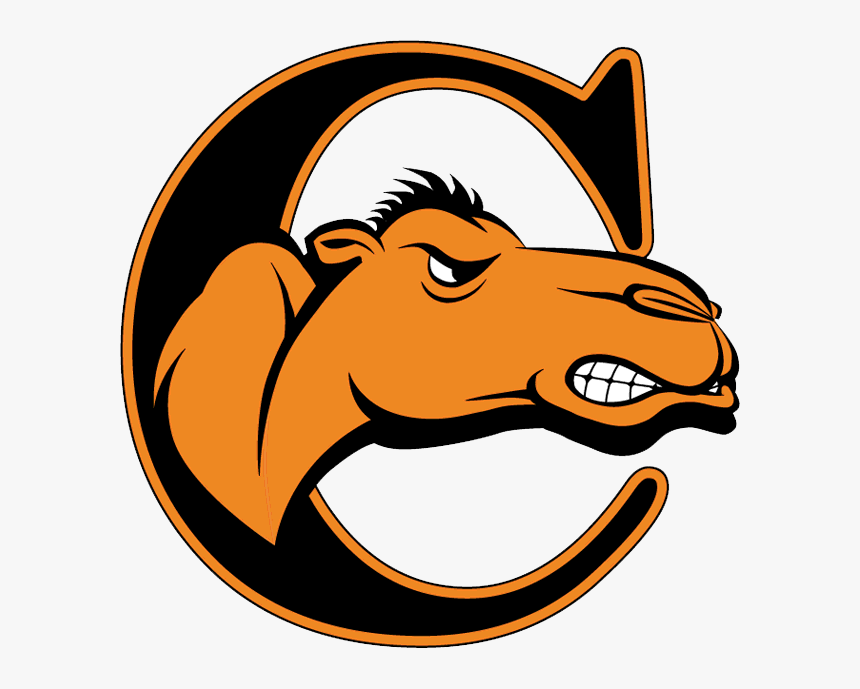 Fighting Camels, HD Png Download