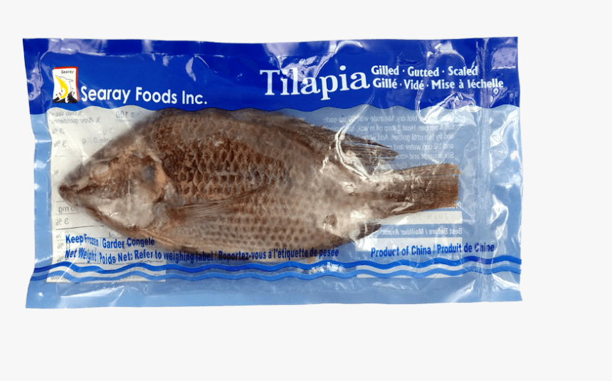 Gulf Flounder, HD Png Download