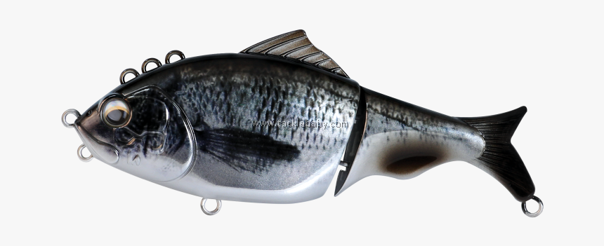 Escolar, HD Png Download