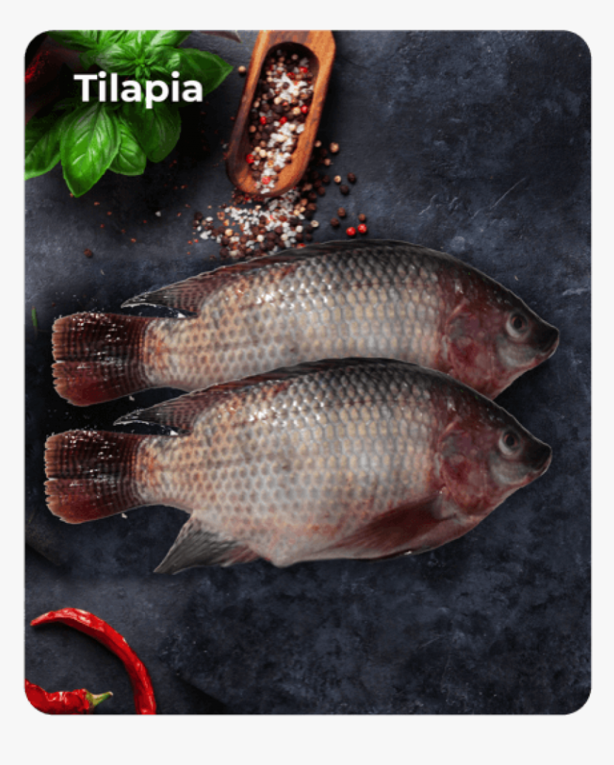 Tilapia - Fish Products, HD Png Download