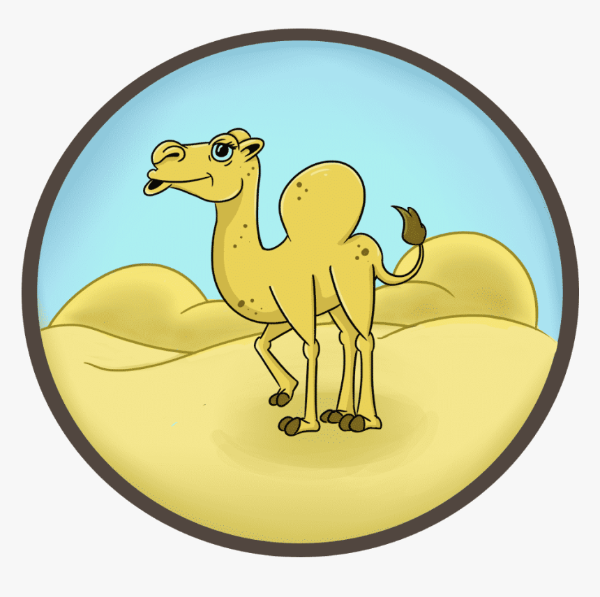 Cartoon Camel - Pbs Kids Go, HD Png Download
