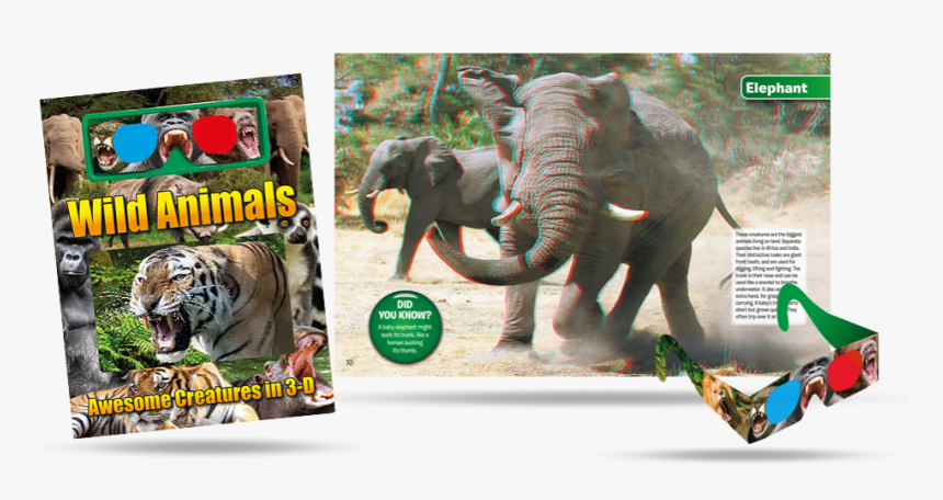 Indian Elephant, HD Png Download