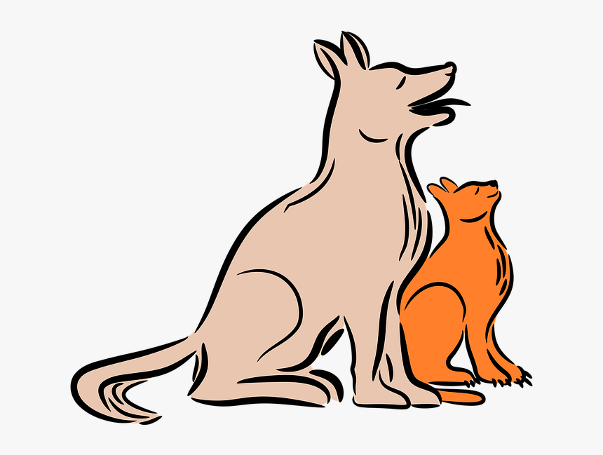 Kangaroo, HD Png Download