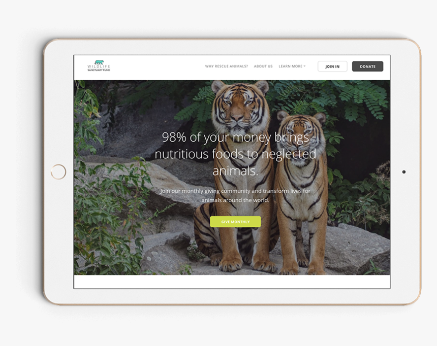 Two Tiger Wallpaper Hd, HD Png Download