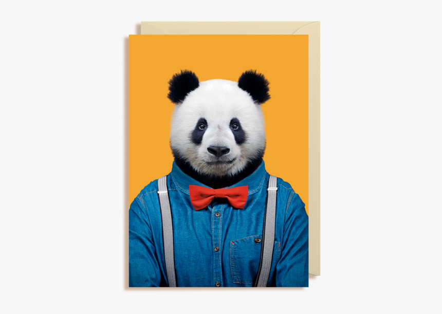 Retratos De Animales Vestidos, HD Png Download