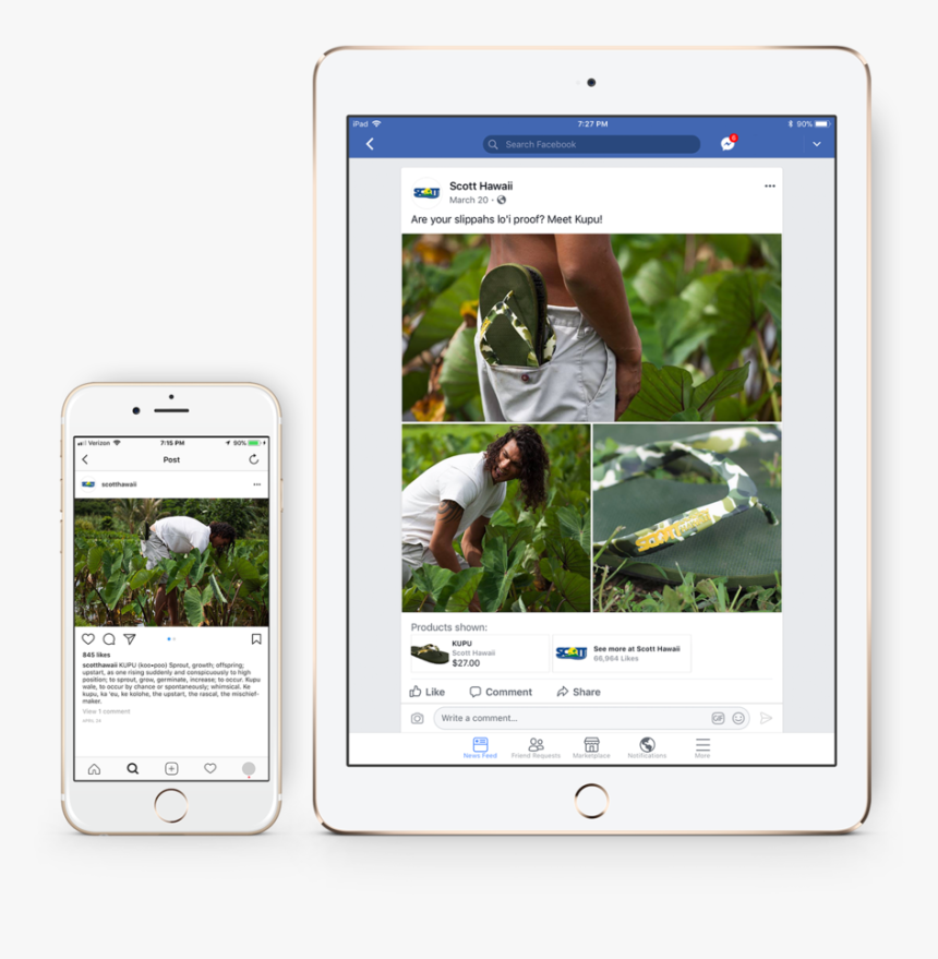 Point Hawaiiscott Taro Social Media, HD Png Download