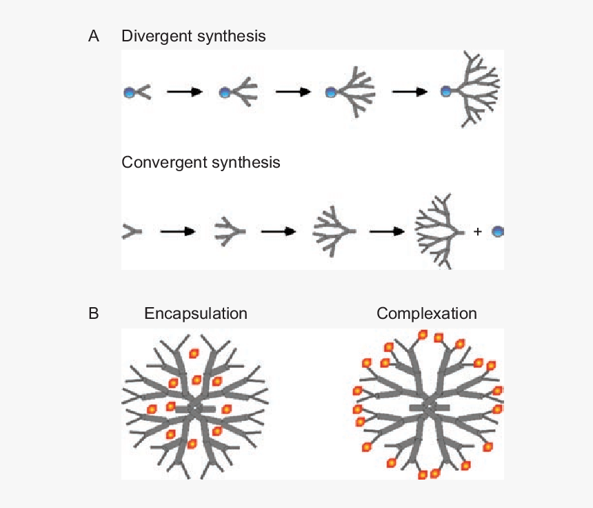 Clip Art, HD Png Download