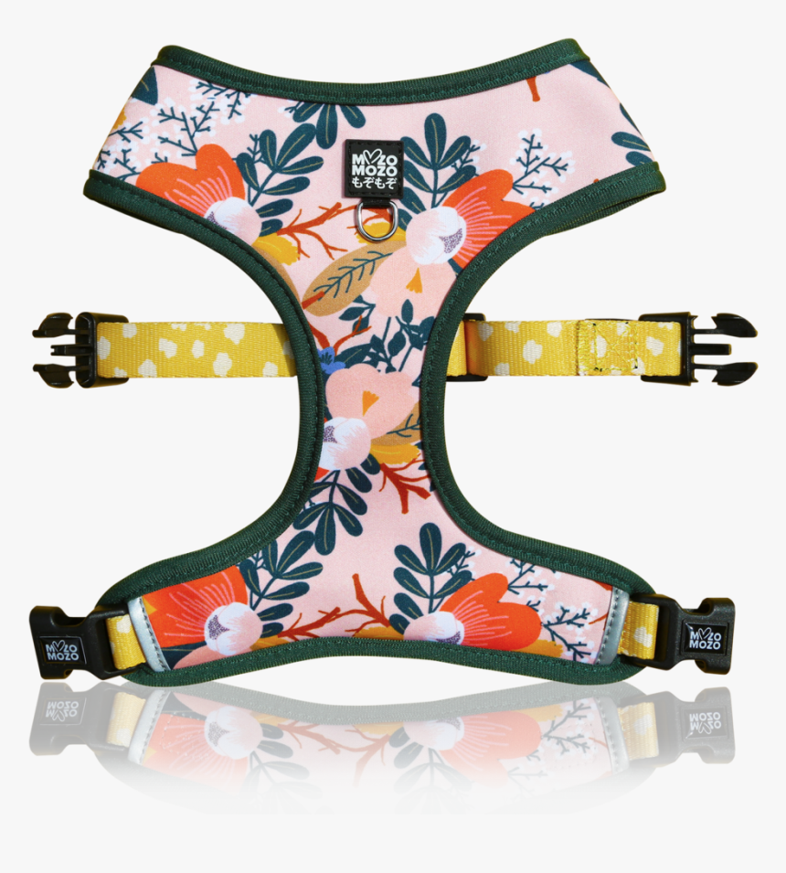 Peach, HD Png Download