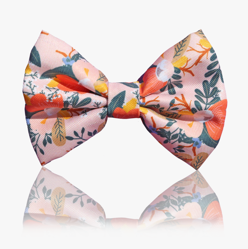 Paisley, HD Png Download