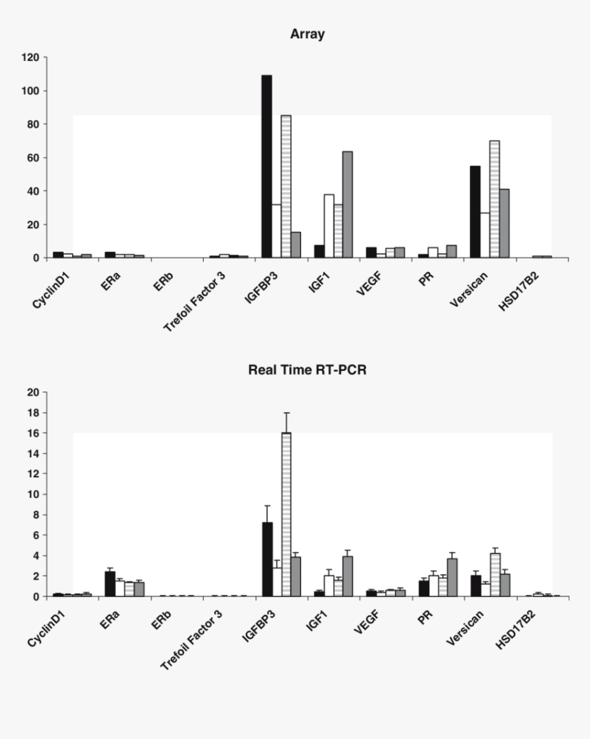 Metropolitan Area, HD Png Download