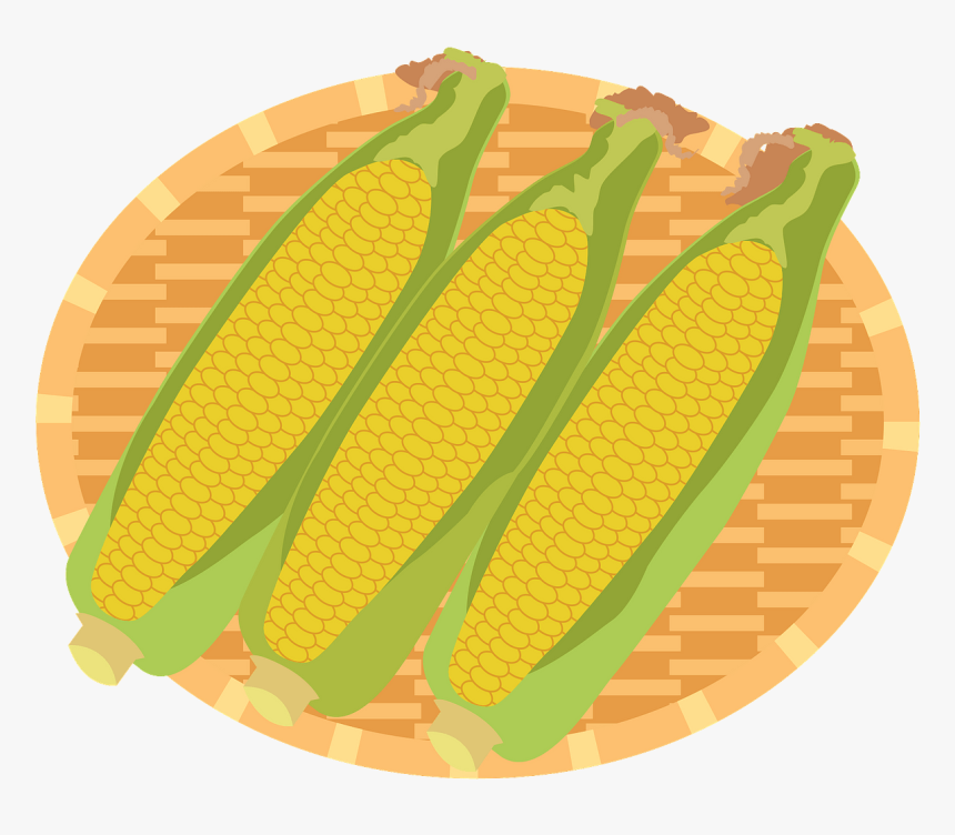 Corn Kernels, HD Png Download