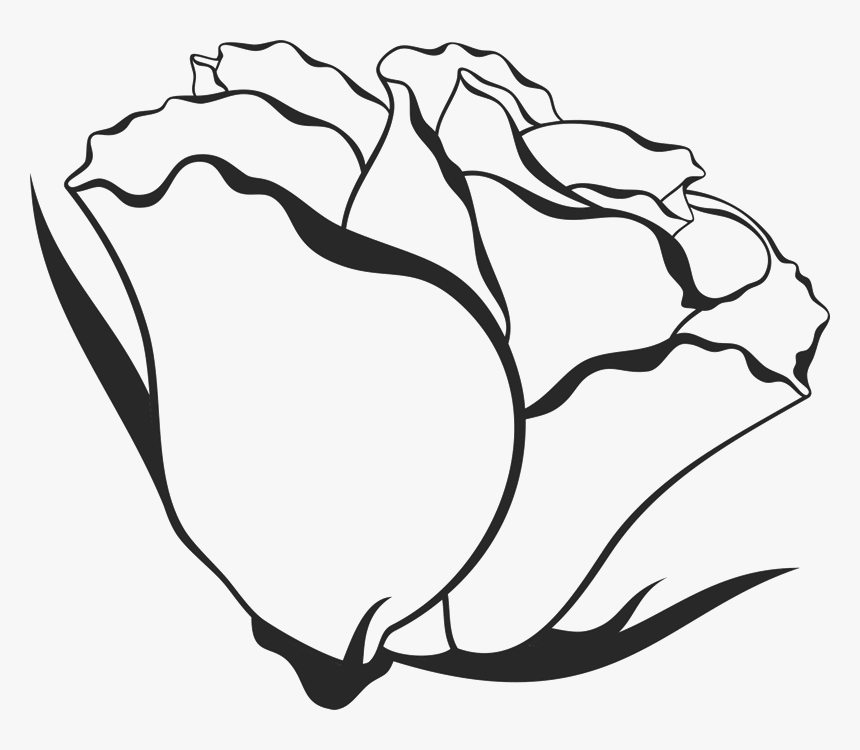 Transparent Side Profile Clipart - Rose Drawing From Side, HD Png Download