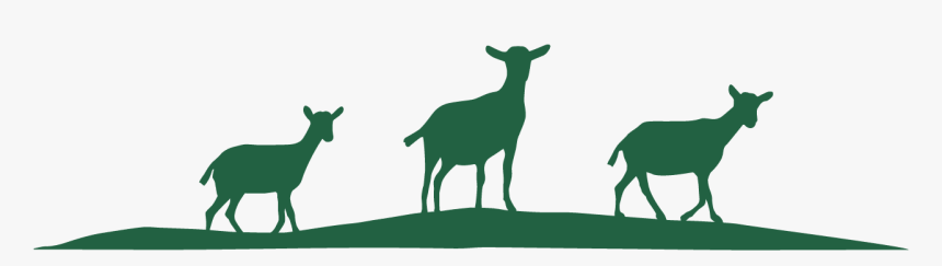 Goat, HD Png Download