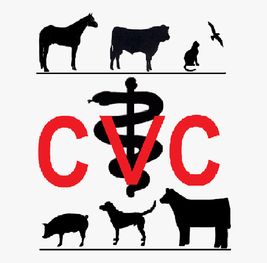 Chachere Veterinary Clinic - Cattle, HD Png Download