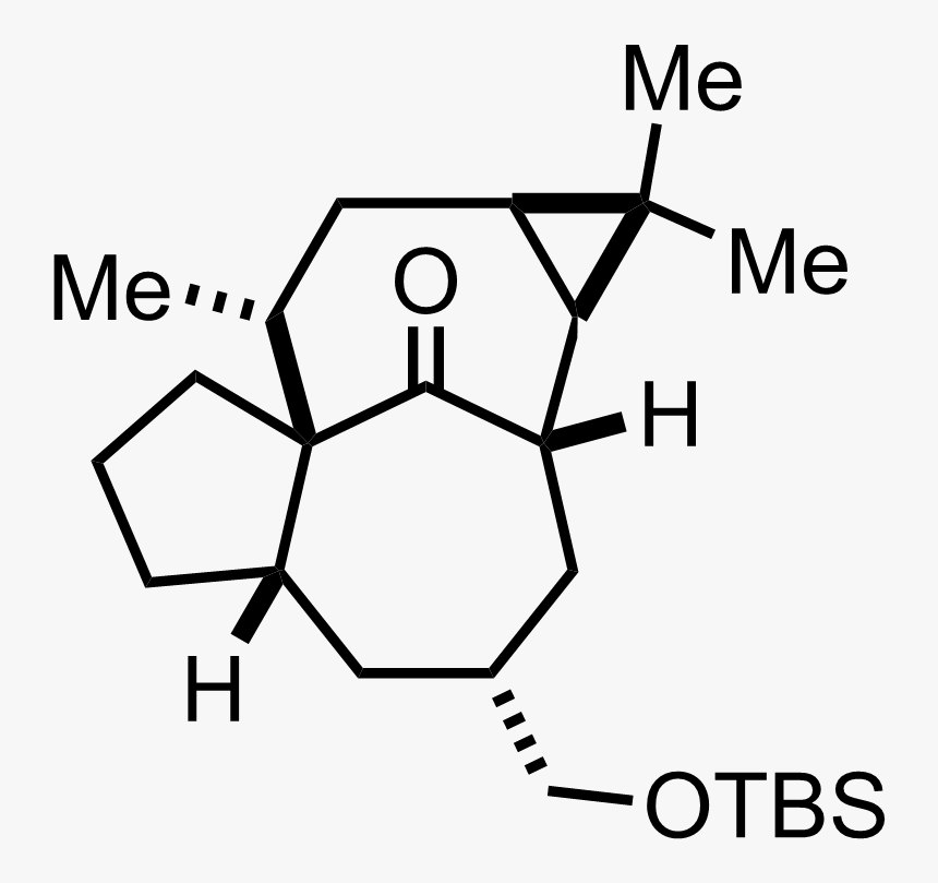 Intermediate Structure - Methyl 6 Methyl 4 -( 4 Methylphenyl )- 2 Oxo 1 2 3, HD Png Download