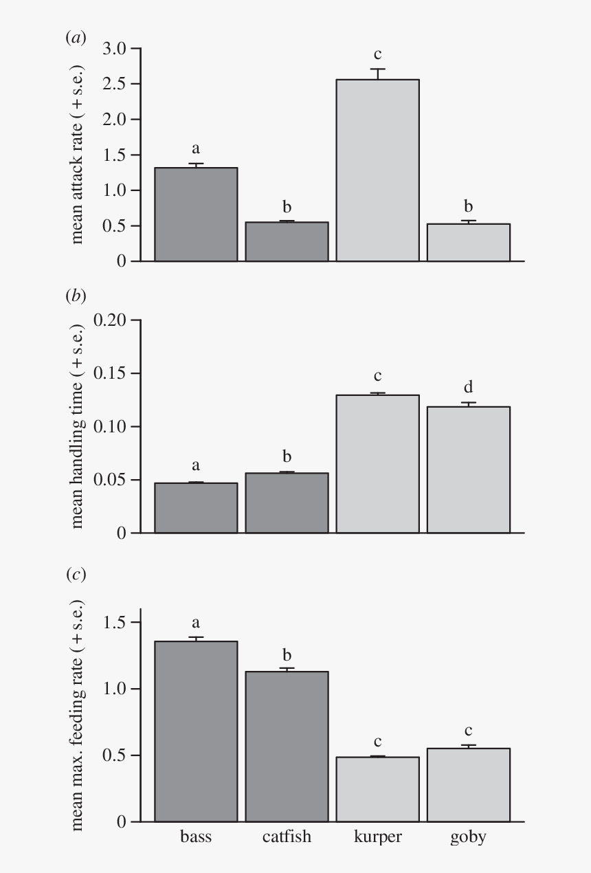 Diagram, HD Png Download
