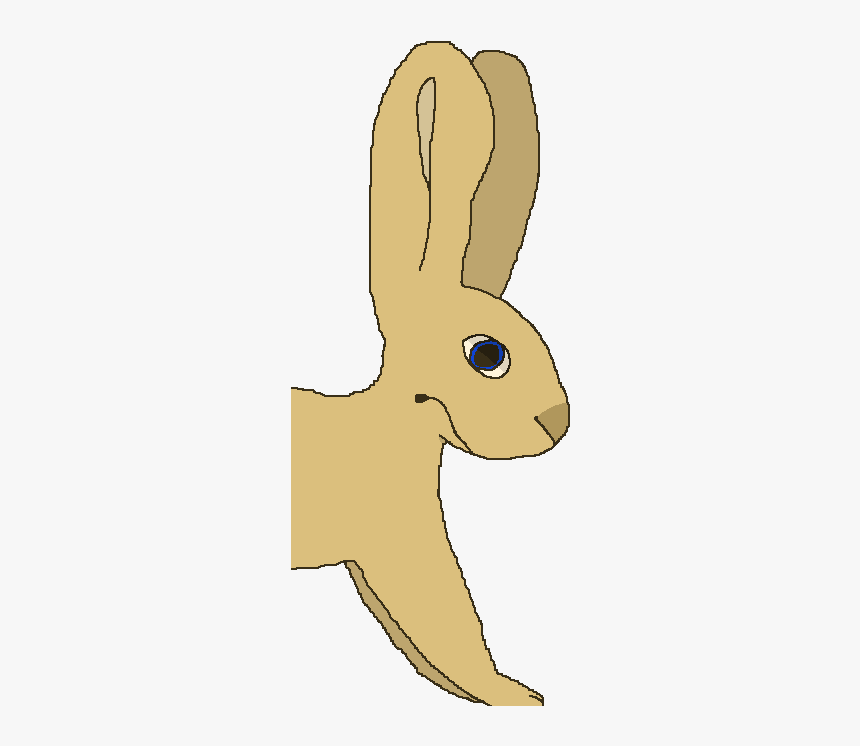 Domestic Rabbit, HD Png Download