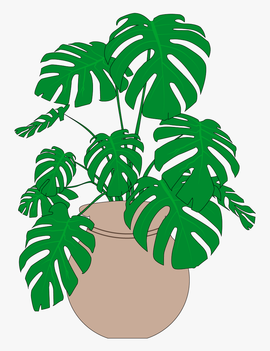Mush A Ring Dum A Do Dum A Da
wack Fall The Daddy O, - Monstera Plants, HD Png Download