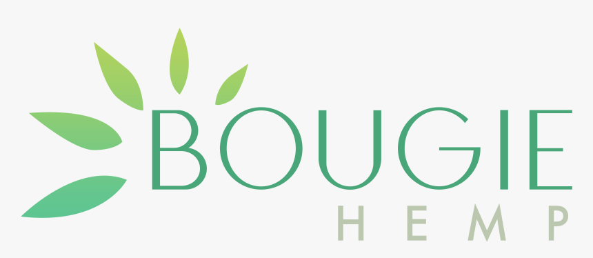 Graphics, HD Png Download