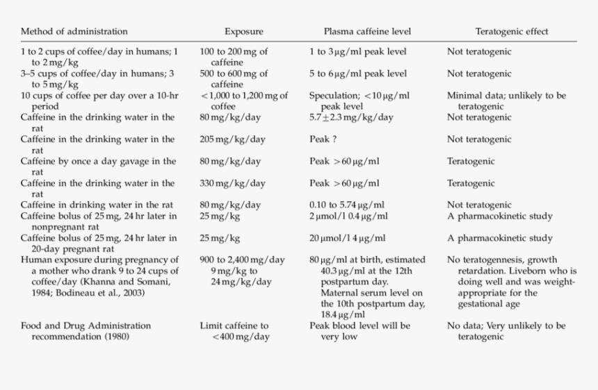 Toxicokinetic And Pharmacokinetic, HD Png Download