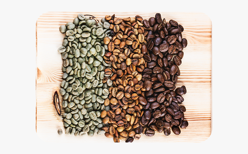 Raw And Roasted Coffee Beans Cafe Descafeinado En Grano Verde Hd Png Download Transparent Png Image Pngitem Raw And Roasted Coffee Beans Cafe Descafeinado En Grano Verde Hd Png Download Transparent Png Image Pngitem