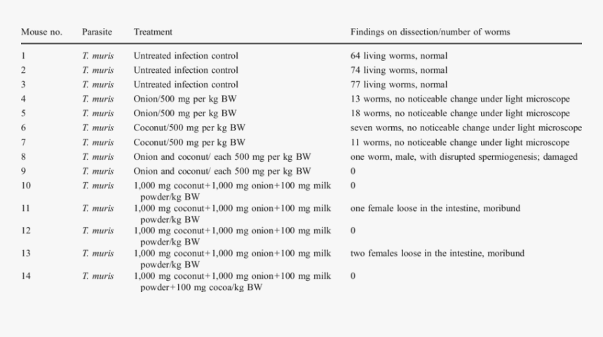 Screenshot, HD Png Download