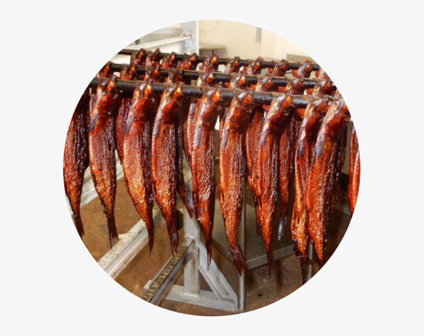 Eel, HD Png Download