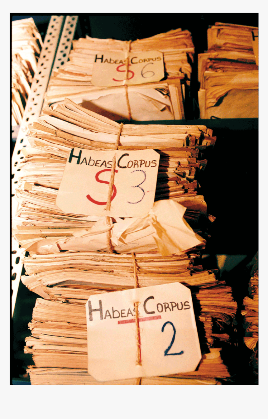 Wood, HD Png Download