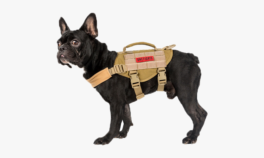 Onetigris Dog Harness, HD Png Download
