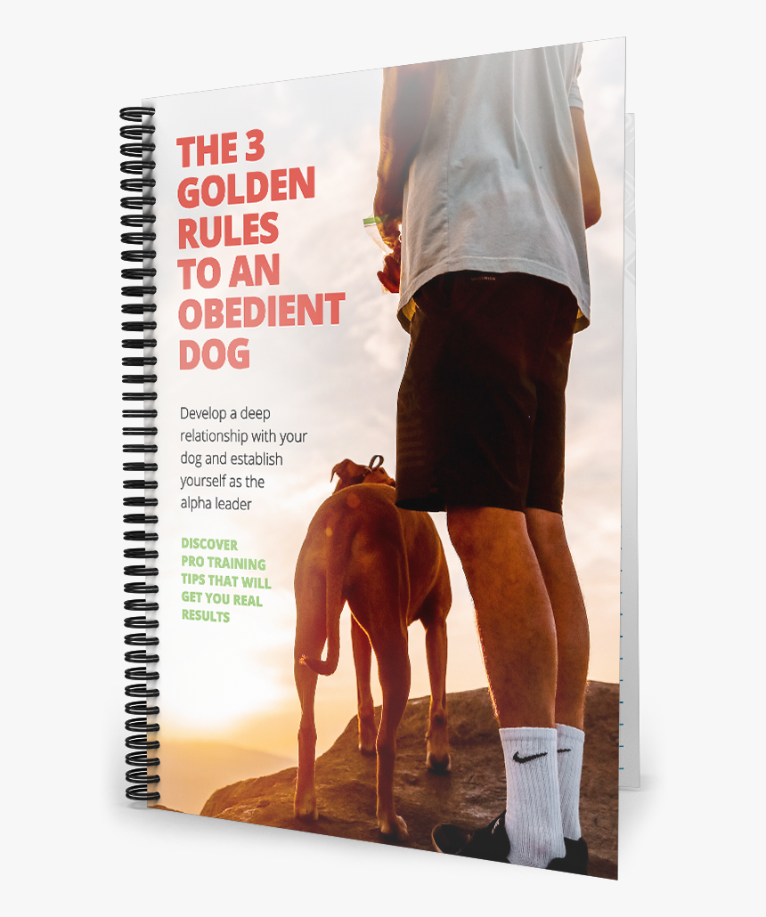 Dog Walking, HD Png Download