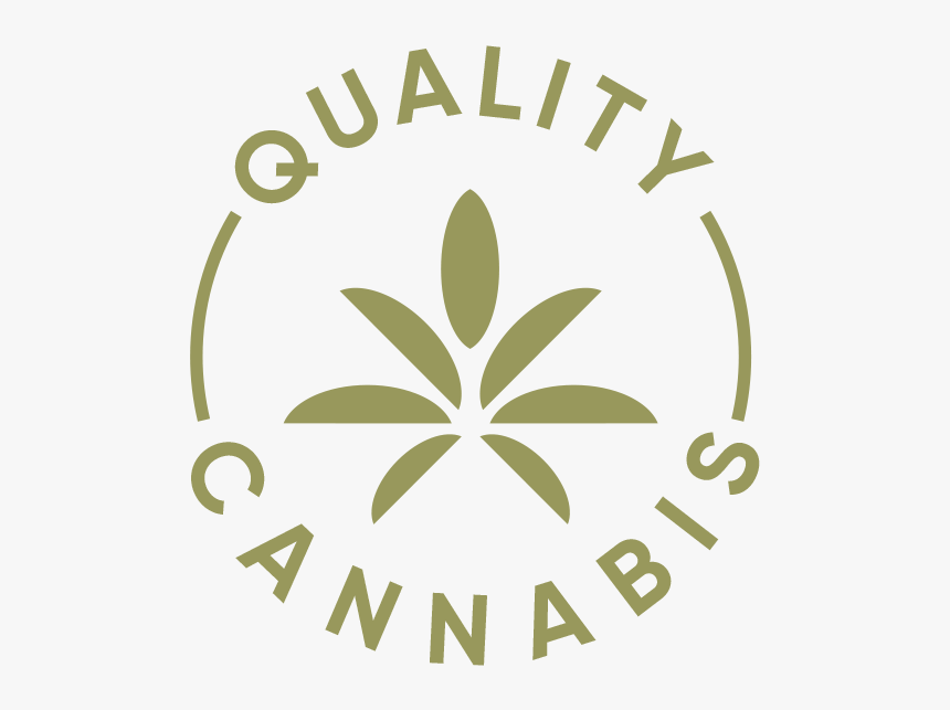 Notill - Graphic Design, HD Png Download