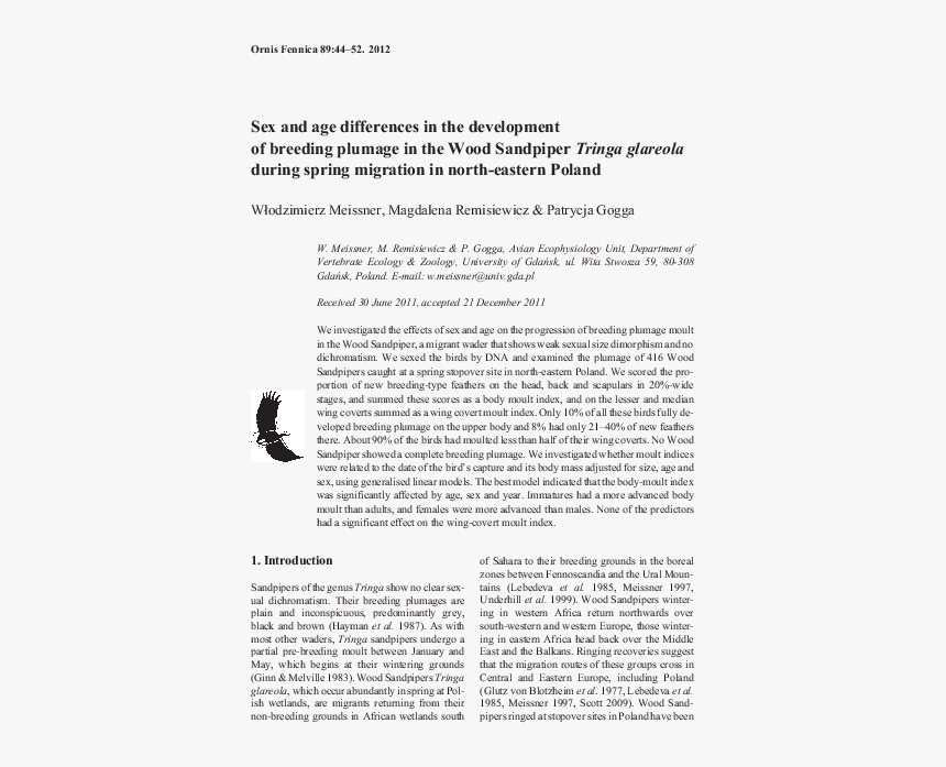 Harry Potter List Of Spells, HD Png Download