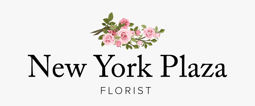 New York Plaza Florist - Garden Roses, HD Png Download