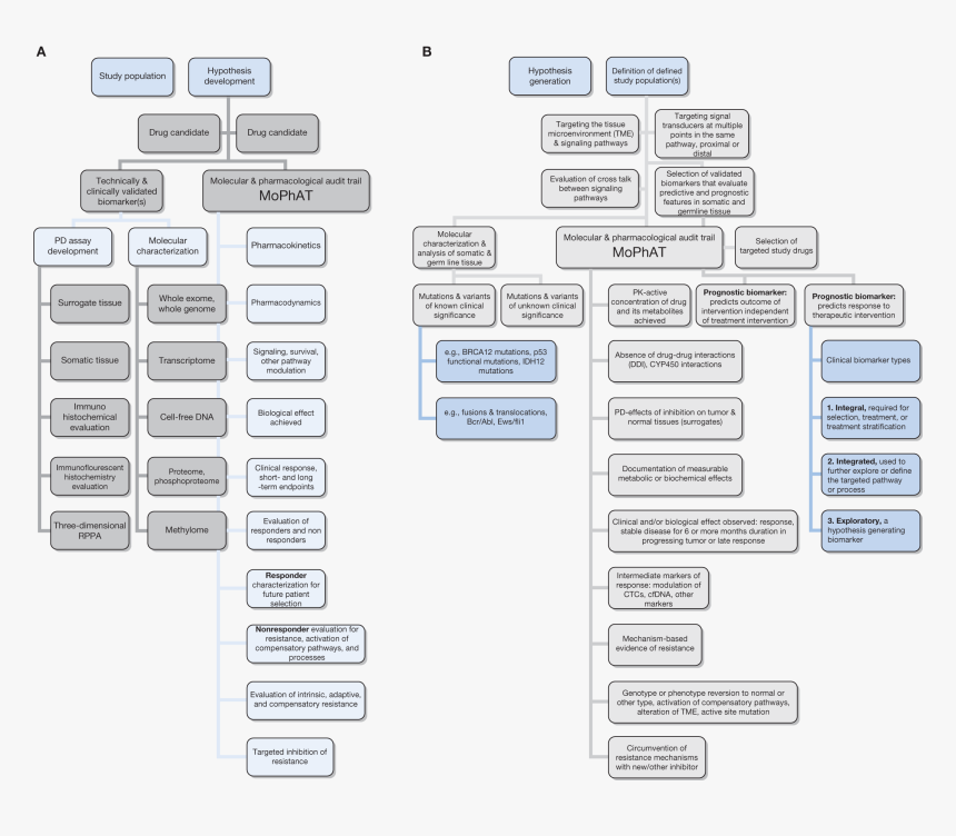 Pattern, HD Png Download