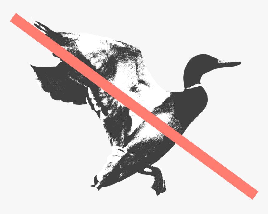 Mallardstrike, HD Png Download , Transparent Png Image PNGitem