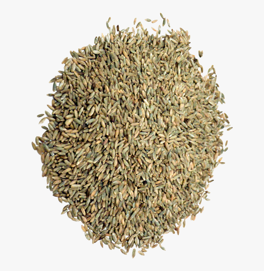 Organic Rye Grain - Cumin, HD Png Download