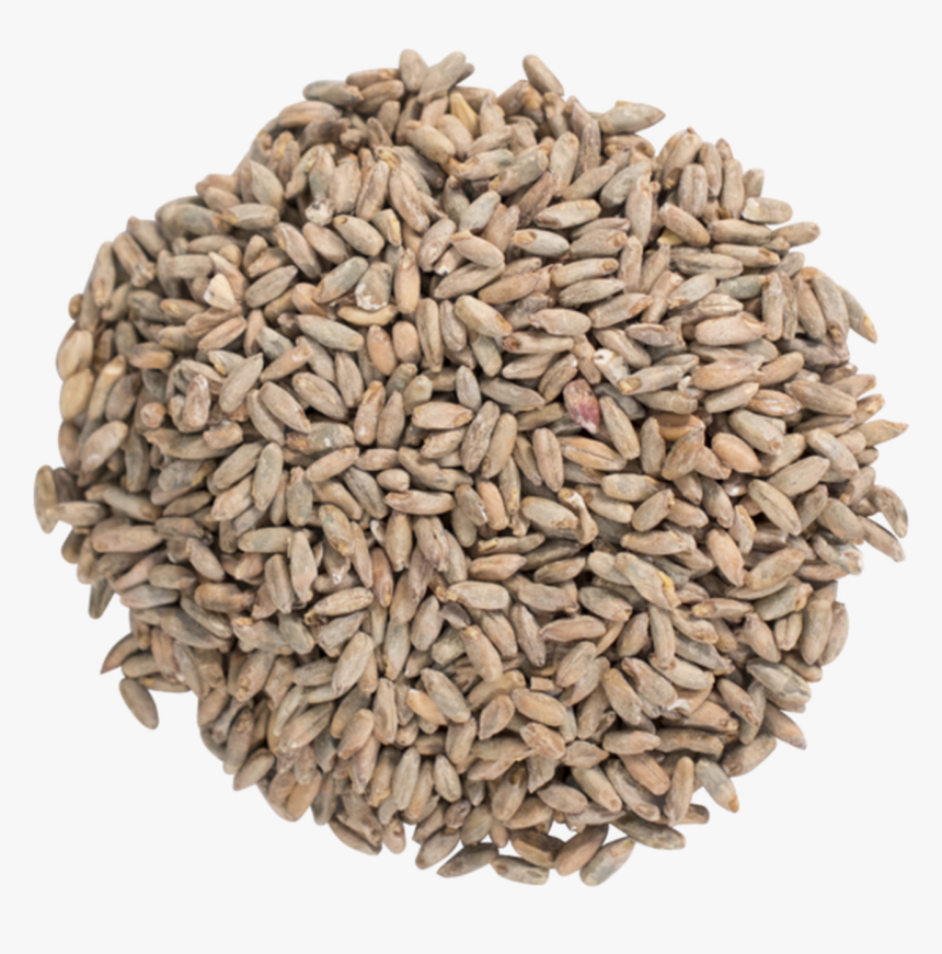 Proximity Rye Malt - Bird Seed Png, Transparent Png