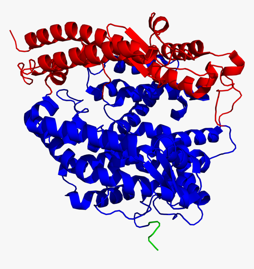 Clip Art, HD Png Download