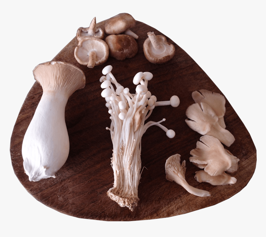 A Selection Of Sainsbury S Exotic Mushrooms Presented - Wood, HD Png Download