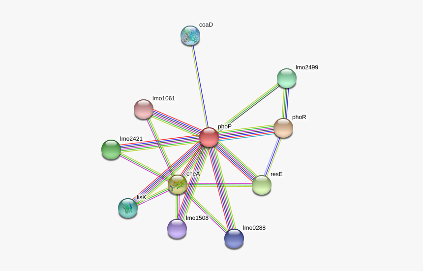 Phop Protein - Circle, HD Png Download