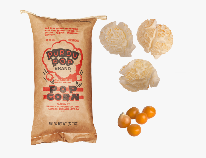 Purdu-mushroom - Bread, HD Png Download