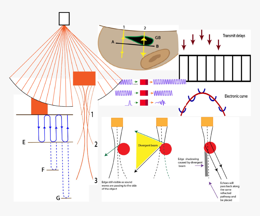 Physics Of Ultrasound - Ultrasound Physics Basics Diagram, HD Png Download
