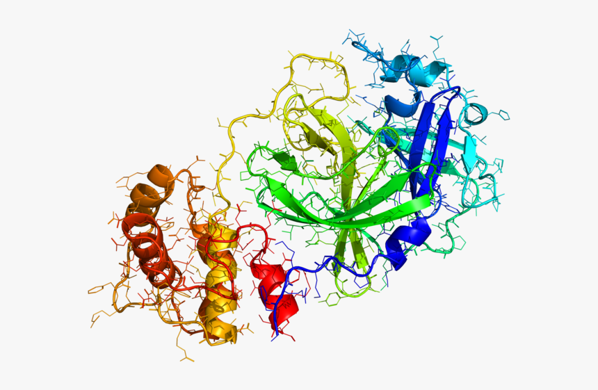 Serious Threat To Global Health Coronavirus - Coronavirus 2019, HD Png Download