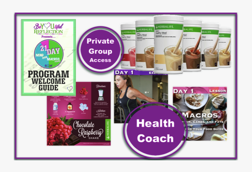 Picture - Flyer, HD Png Download