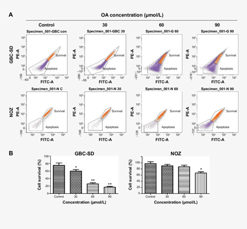 كتب تحليل النص الأدبي Pdf, HD Png Download