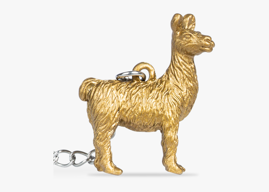 Fun Infuser Zoo Brew Llama - Llama, HD Png Download