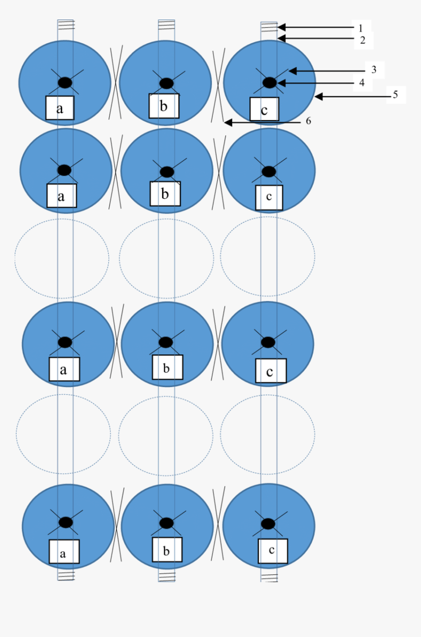 Circle, HD Png Download