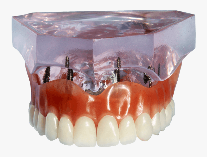 Jaw, HD Png Download