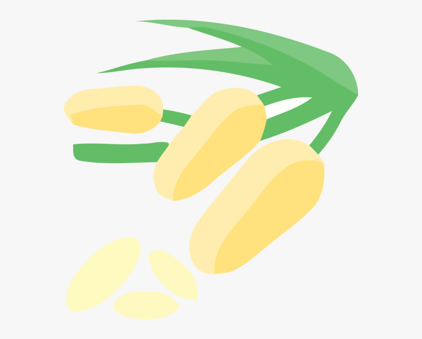 Transparent Pongal Yellow Legume Vegetarian Food For - Comfit, HD Png Download